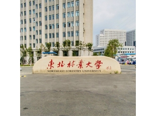 东北林业大學(xué)